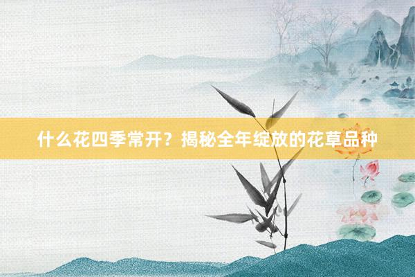 什么花四季常开？揭秘全年绽放的花草品种